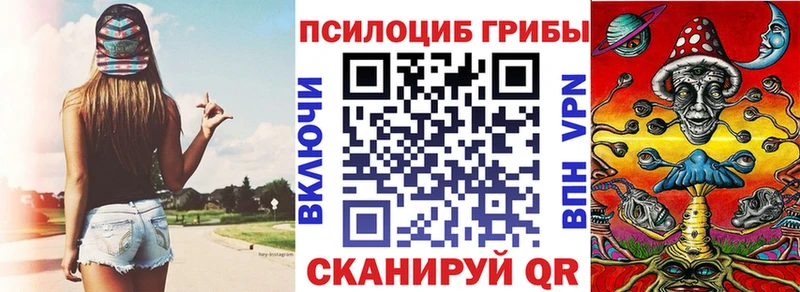 купить   Кизилюрт  Псилоцибиновые грибы мицелий 