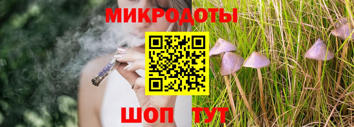 Кизилюрт  Галлюциногенные грибы Psilocybine cubensis  Вход с VPN 